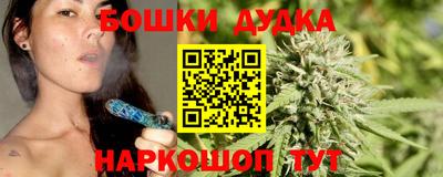 PSILOCYBIN Камышлов